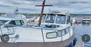Sea bee Lady 27